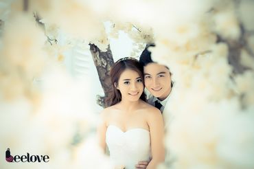 Album phim trường và Ngoại cảnh Sài Gòn - Beelove Studio - Hình 6