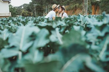 Da Lat Package (Đà Lạt / Nha Trang / Tỉnh thành khác) - Tony Wedding - Hình 16