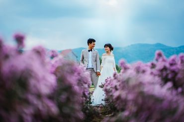 Sea Package (Hồ Cốc - Vũng Tàu / Phan Thiết - Cocobeach Camp / Vĩnh Hy) - Tony Wedding - Hình 10