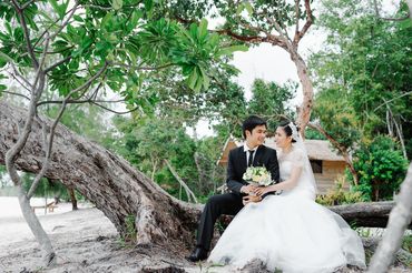 Da Lat Package (Đà Lạt / Nha Trang / Tỉnh thành khác) - Tony Wedding - Hình 45