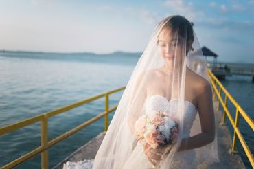 Gói Hồ Cốc - KK Sophie Wedding Studio - Hình 6