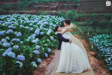 Da Lat Package (Đà Lạt / Nha Trang / Tỉnh thành khác) - Tony Wedding - Hình 49