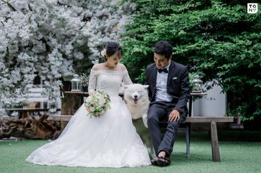 Sai Gon Package (Simple Concept / Phim Trường / Ngoại Cảnh SG) - Tony Wedding - Hình 16