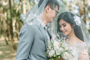 Mãi Mãi - Mai Anh Bridal - Hình 18