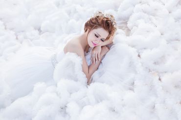 Album ảnh cưới Phan Thiết - Venus Bridal - Hình 140