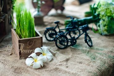 Đám cưới Vintage tại Thảo Điền Village - Lily Flowers &amp; Wedding - Hình 6