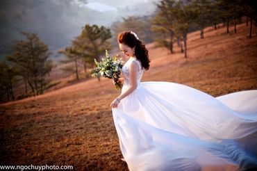 Chụp hình cưới trọn gói tại Đà Lạt - Studio Ngọc Huy - Hình 41