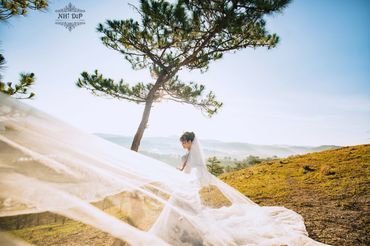 Album Đà Lạt - Nhi Dip Bridal - Hình 8