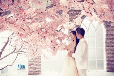 Ảnh Cưới Phim Trường | BLUE WEDDING PHOTO - Blue Wedding Photo - Hình 14