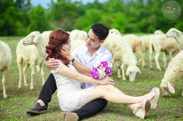 Ảnh cưới Hồ Cốc đẹp lung linh - Felecia Bridal - Hình 15