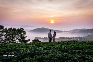 Trọn Gói Pre Wedding Đà Lạt - Hera Bridal - Tân Bình - Hình 14