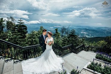 Chụp ảnh cưới Đà Nẵng - Bà Nà - Hội An - Jong APhuong wedding - Hình 2