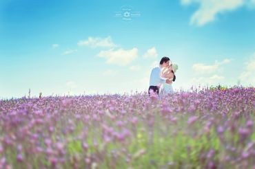 Album Ngoại cảnh Đà Lạt - Phan Rang - Chụp Ảnh Cưới Đẹp Đà Lạt Ohlala studio - Hình 4