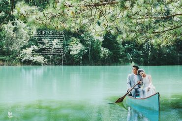 Golden - TuArt Wedding Đà Lạt - Hình 4