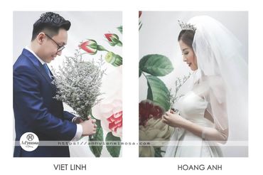 Album ảnh cưới đẹp tại Đại Lại resort flamingo Mimosa Wedding - Mimosa Wedding - Hình 30