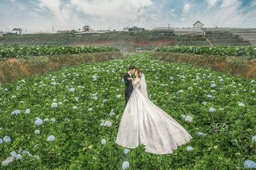 Ảnh cưới Cẩm Tú Cầu Đơn Dương- Đà Lạt - MrLuStudio - Hình 6