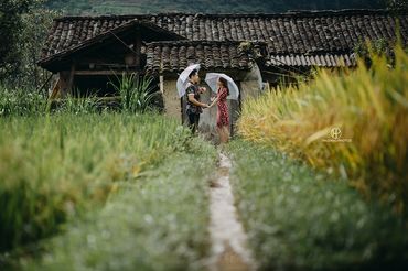 Ảnh cưới trên Cao nguyên đá Đồng Văn - Hà Giang - Ha Giang Photos Studio - Hình 28