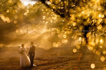 GÓI CHỤP ẢNH NGOẠI CẢNH ĐÀ LẠT - Rin Wedding Đà Lạt - Hình 9