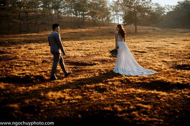 Chụp hình cưới trọn gói tại Đà Lạt - Studio Ngọc Huy - Hình 3
