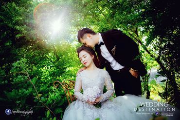 Ảnh cưới đẹp tại Đà Nẵng - Ảnh cưới Gia Lai - Quang Vũ Photography - Hình 15