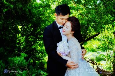 Ảnh cưới đẹp tại Đà Nẵng - Ảnh cưới Gia Lai - Quang Vũ Photography - Hình 14