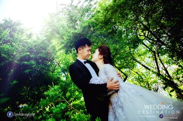 Ảnh cưới đẹp tại Đà Nẵng - Ảnh cưới Gia Lai - Quang Vũ Photography - Hình 16