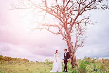 Lung linh ảnh cưới Gia Lai - Ảnh cưới Gia Lai - Quang Vũ Photography - Hình 16