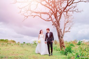 Lung linh ảnh cưới Gia Lai - Ảnh cưới Gia Lai - Quang Vũ Photography - Hình 19