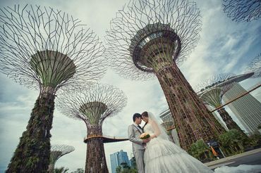 Album cưới chụp tại Singapore - Kevin Truong Photography - Hình 15