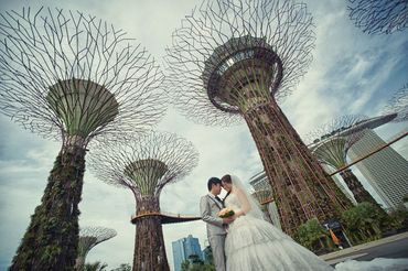 Album cưới chụp tại Singapore - Kevin Truong Photography - Hình 15