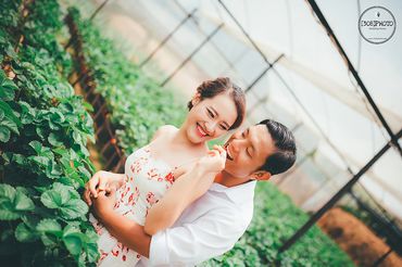 Nguyên - Nhân|Đà Lạt Prewedding - [308]Photo - Hình 16