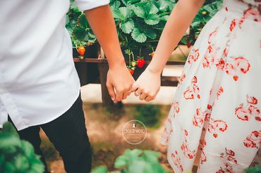 Nguyên - Nhân|Đà Lạt Prewedding - [308]Photo - Hình 13