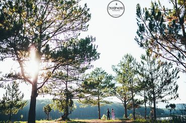 Nguyên - Nhân|Đà Lạt Prewedding - [308]Photo - Hình 19