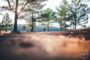 Nguyên - Nhân|Đà Lạt Prewedding - [308]Photo - Hình 20