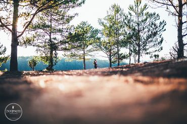 Nguyên - Nhân|Đà Lạt Prewedding - [308]Photo - Hình 25