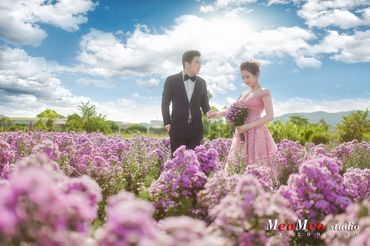 Ảnh Cưới Hồ Cóc - Studio Meomeo - Hình 6