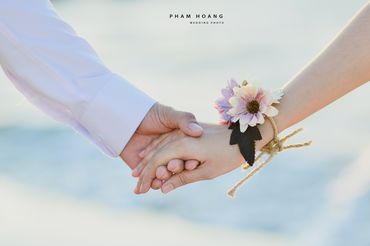 Album cưới Vĩnh Hy  - Hang Rái - Phạm Hoàng Studio - Hình 1