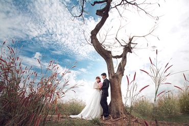 Hạnh phúc đơn sơ - Ly Nguyen Photography - Hình 15