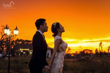 Ảnh cưới chụp tại Hà Nội theo phong cách Châu Âu - TuArt Wedding - Hình 9