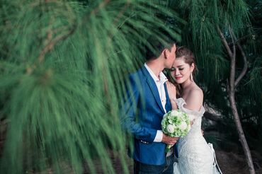 Album ảnh cưới Phan Thiết - Venus Bridal - Hình 29