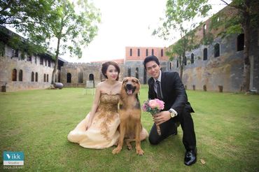 Bên nhau mãi - Vikk Studio - Studio chụp ảnh cưới đẹp nhất Nha Trang - Hình 41