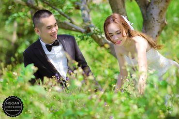 Album ảnh cưới Đà Nẵng - Ngoan Bridal - Hình 5