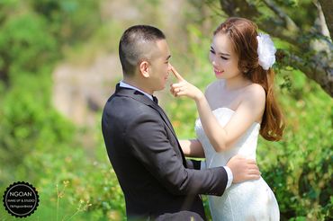 Album ảnh cưới Đà Nẵng - Ngoan Bridal - Hình 10