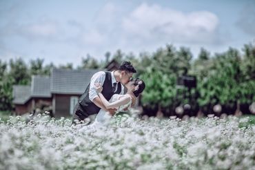 wedding 2016 - Hiếu Photods - Hình 2