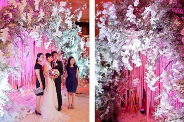 Trang trí cưới tone hồng-tím - GBrown Flower - Hình 2