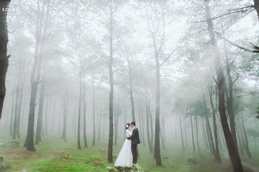 Ba Vì mùa sương - Le Soleil wedding studio - Hình 5