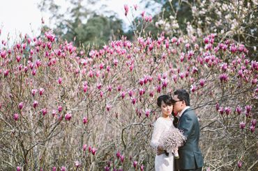 Ảnh cưới Melbourne - Hoa Ta Photo (wArtaPhoto) - Hình 9