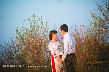 Pre-wedding2 - Nupakachi Wedding & Events - Hình 1