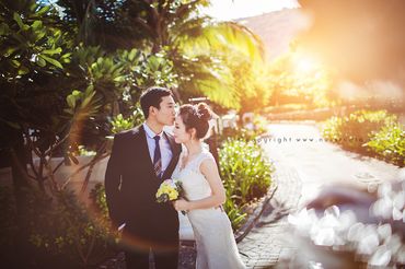 Nha Trang- Đà Nẵng - Nupakachi Wedding & Events - Hình 12