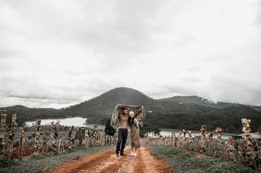 Album hình cưới Đà Lạt 1 - Hệ thống cửa hàng dịch vụ ngày cưới ALEN - Hình 66